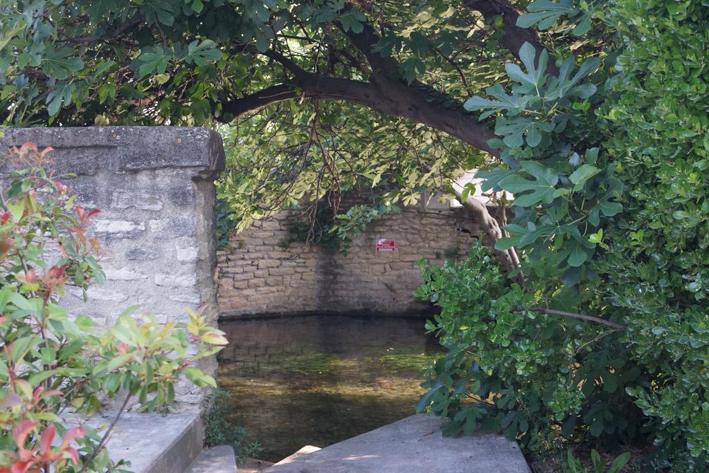 Apartamento Colombe LʼIsle-sur-la-Sorgue Exterior foto